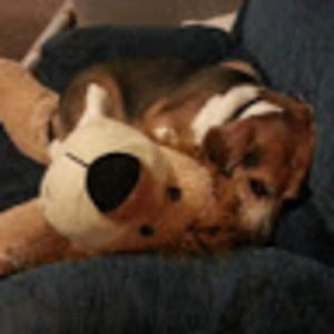 Meet your Posher, Elaine